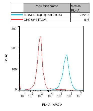 CHO-K1 Human ITGA4 Cell