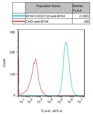 CHO-K1 Human B7H4 Cell
