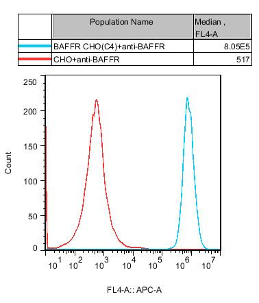 CHO-K1 Human BAFFR Cell