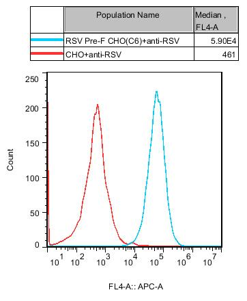 CHO-K1 Human RSV Pre-F Cell