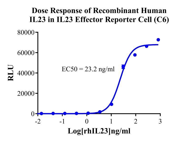 HEK293 Human IL23 Effector Reporter Cell