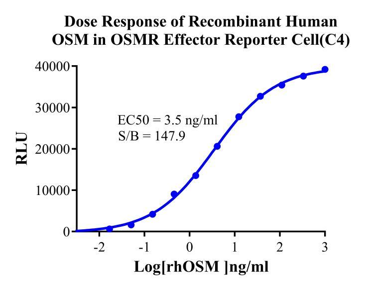 HEK293 Human OSMR Effector Reporter Cell