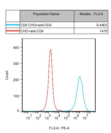 CHO-K1 Human CD4 Cell