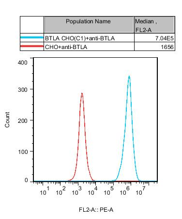CHO-K1 Human BTLA Cell