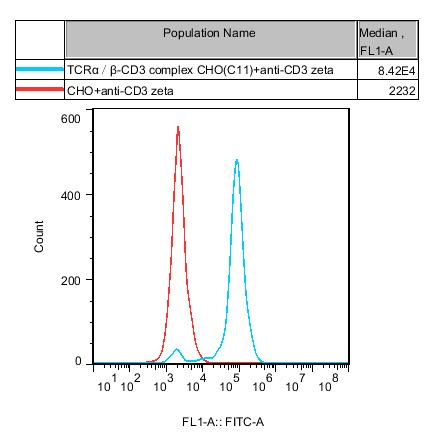 CHO-K1 Human TCRα/β-CD3 complex Cell