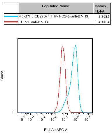 THP-1 Human 4ig-B7H3(CD276) Cell