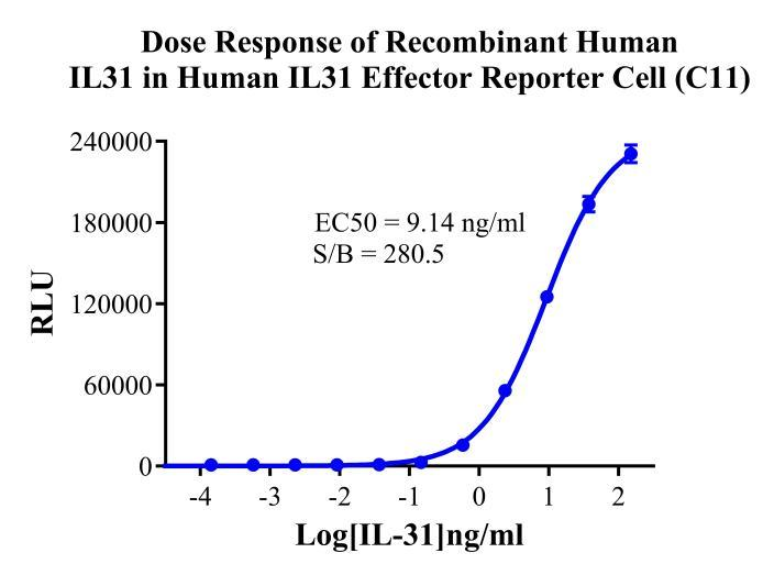HEK293 Human IL31 Effector Reporter Cell