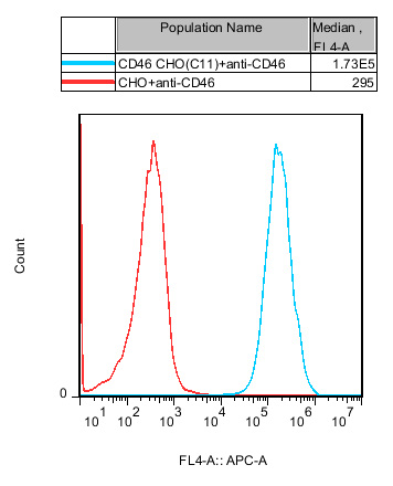 CHO-K1 Human CD46 Cell