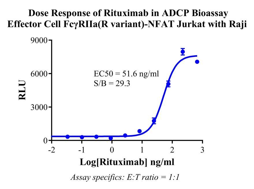 Jurkat E6.1 Human ADCP Bioassay Effector Cell FcγRIIa (R variant) -NFAT