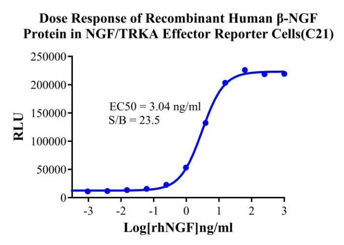 HEK293 Human NGF/hTRKA Effector Reporter Cell