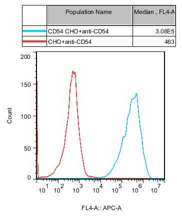 CHO-K1 Human CD54 Cell