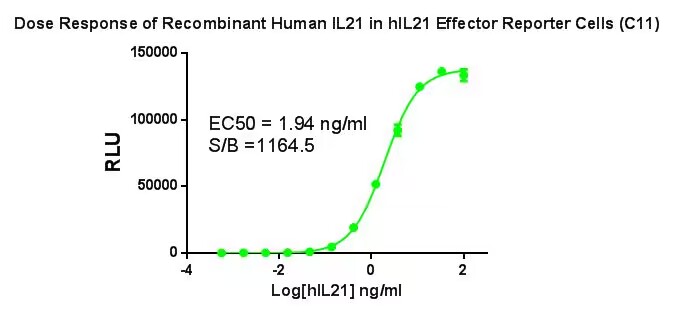 HEK293 Human IL21 Effector Reporter Cell