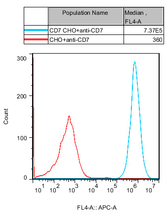 CHO-K1 Human CD7 Cell