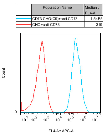 CHO-K1 Human CD73 Cell