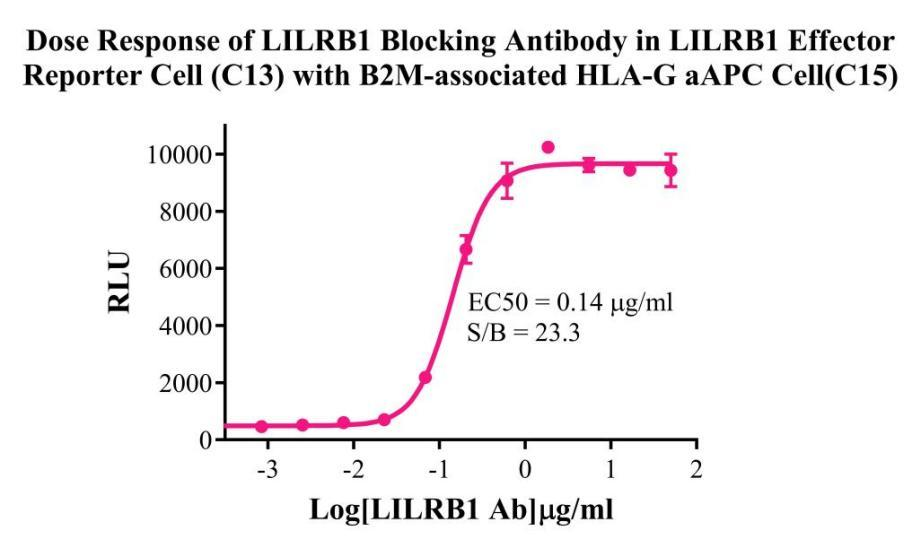 Jurkat E6.1 Human LILRB1 Effector Reporter Cell