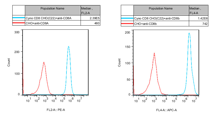 CHO-K1 Cyno CD8 Cell