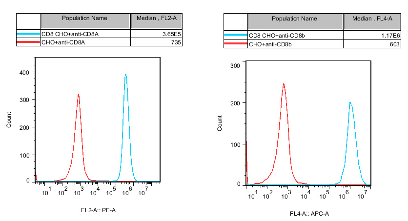 CHO-K1 Human CD8 Cell