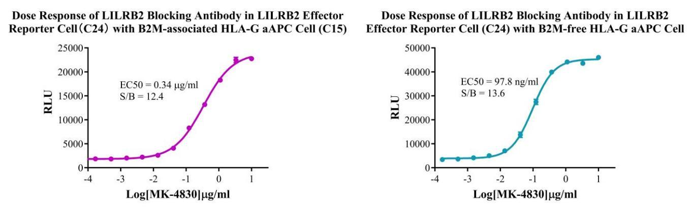 Jurkat E6.1 Human LILRB2 Effector Reporter Cell