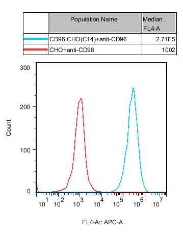 CHO-K1 Human CD96 Cell