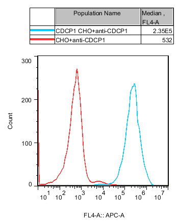 CHO-K1 Human CDCP1 Cell
