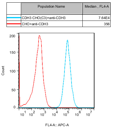 CHO-K1 Human CDH3 Cell