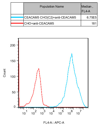 CHO-K1 Human CEACAM5 Cell