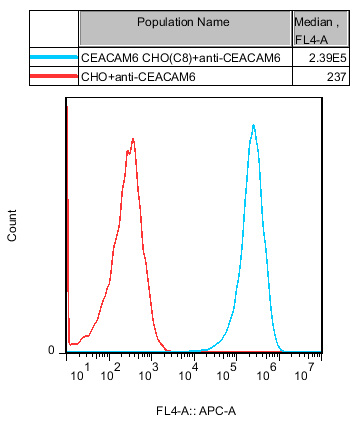 CHO-K1 Human CEACAM6 Cell