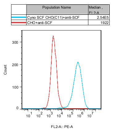 CHO-K1 Cynomolgus SCF Cell