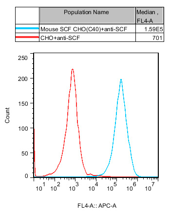 CHO-K1 Mouse SCF Cell