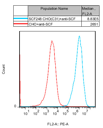 CHO-K1 Human SCF248 Cell