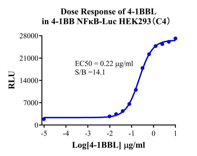 HEK293 Human 41BB/NFκB-Luc Cell