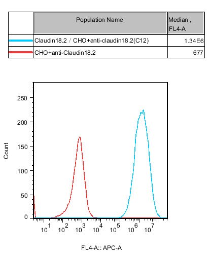 CHO-K1 Human Claudin18.2 Cell