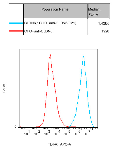 CHO-K1 Human Claudin 6(CLDN6) Cell