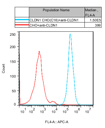 CHO-K1 Human CLDN1 Cell