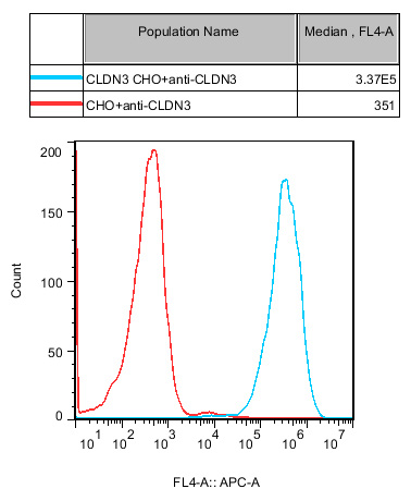 CHO-K1 Human CLDN3 Cell