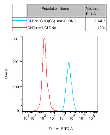 CHO-K1 Human CLDN9 Cell