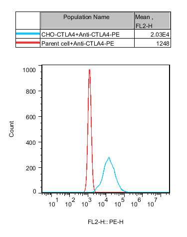 CHO-K1 Human CTLA4 Cell