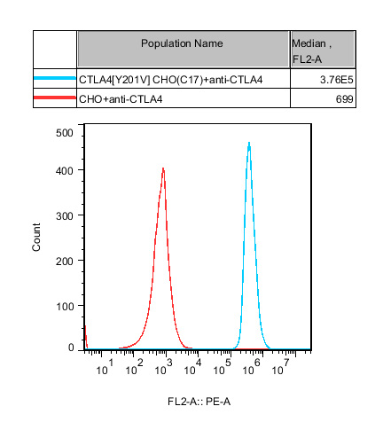 CHO-K1 Human CTLA4[Y201V] Cell