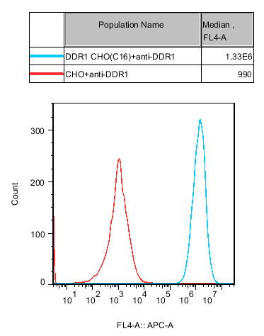 CHO-K1 Human DDR1 Cell