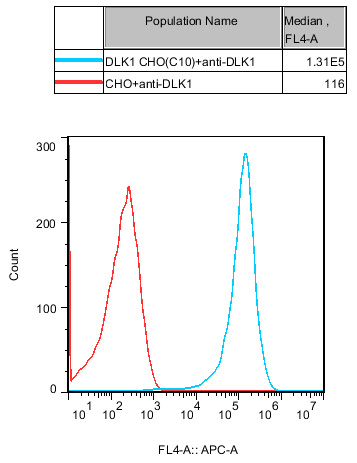 CHO-K1 Human DLK1 Cell