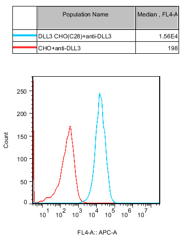 CHO-K1 Human DLL3 Cell