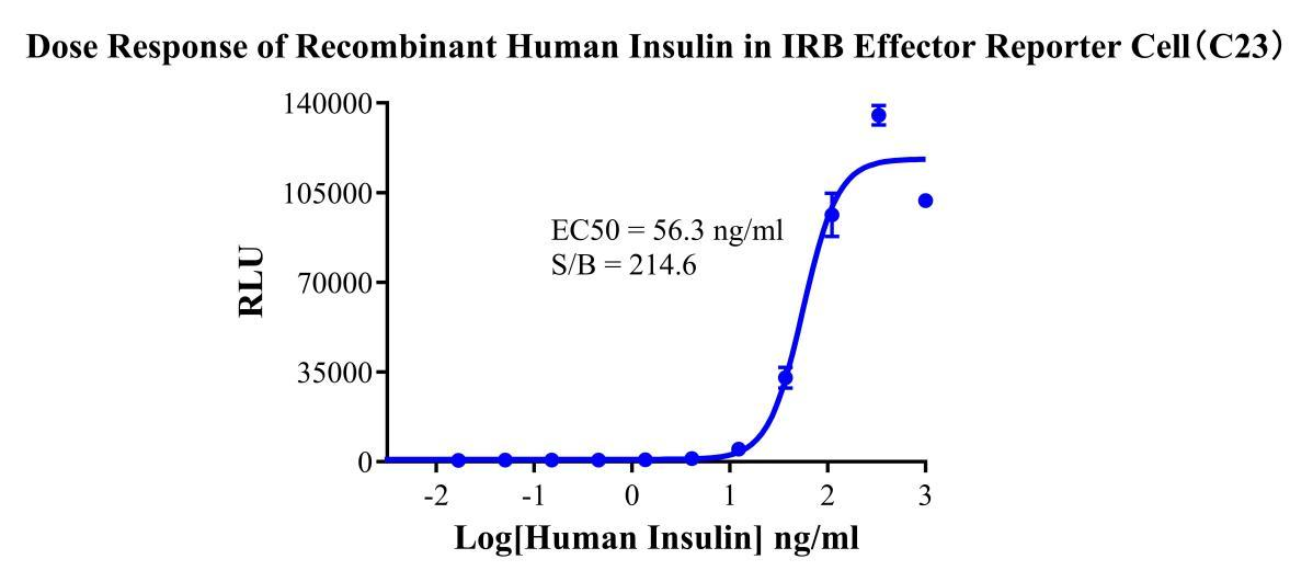 HEK293 Human IRB Effector Reporter Cell