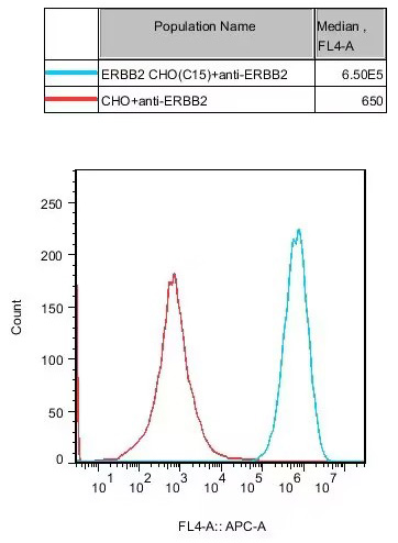 CHO-K1 Human ERBB2 Cell