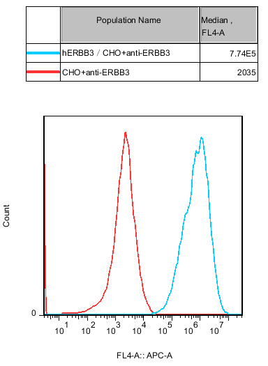 CHO-K1 Human ERBB3(HER3) Cell
