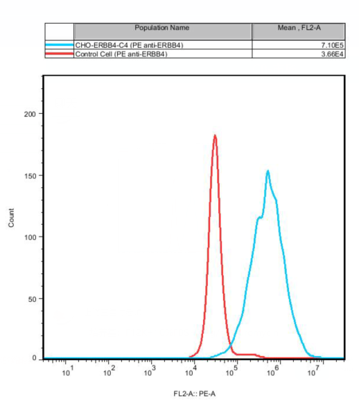 CHO-K1 Human ERBB4 Cell