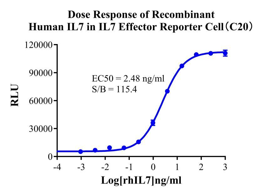 HEK293 Human IL7 Effector Reporter Cell