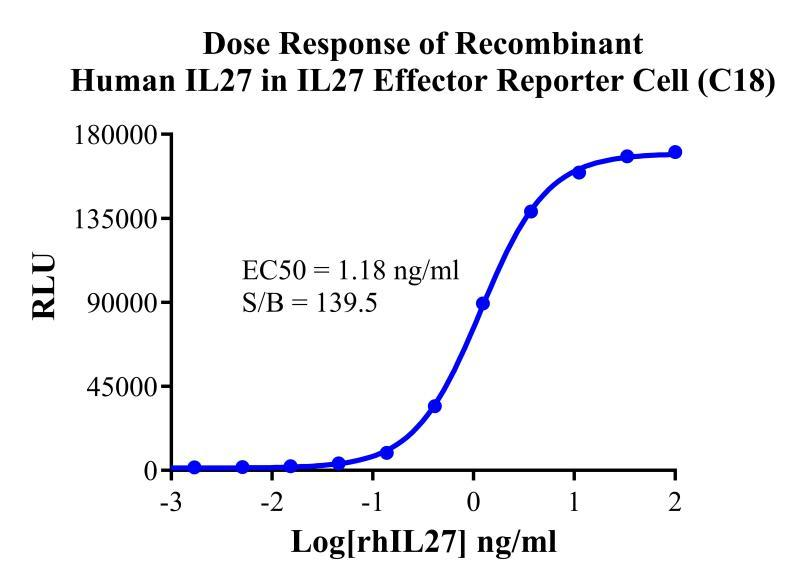 HEK293 Human IL27 Effector Reporter Cell