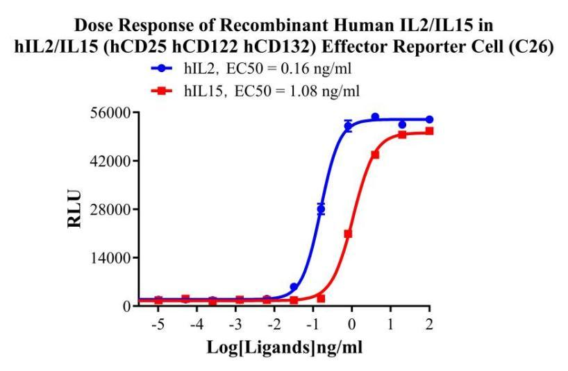 Jurkat E6.1 Human IL2/IL15 Dual Effector(hCD25/hCD122/hCD132) Reporter Cell