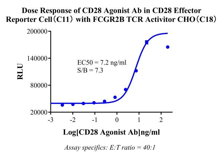 Jurkat E6.1 Human CD28 Effector Reporter Cell