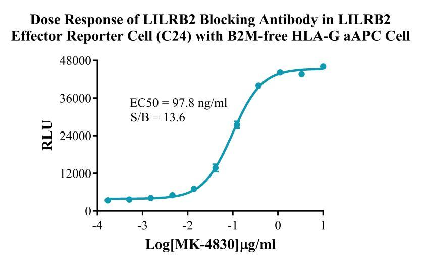 CHO-K1 Human B2M-free HLA-G/aAPC Cell